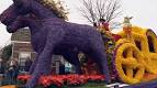 bloemencorso.nl